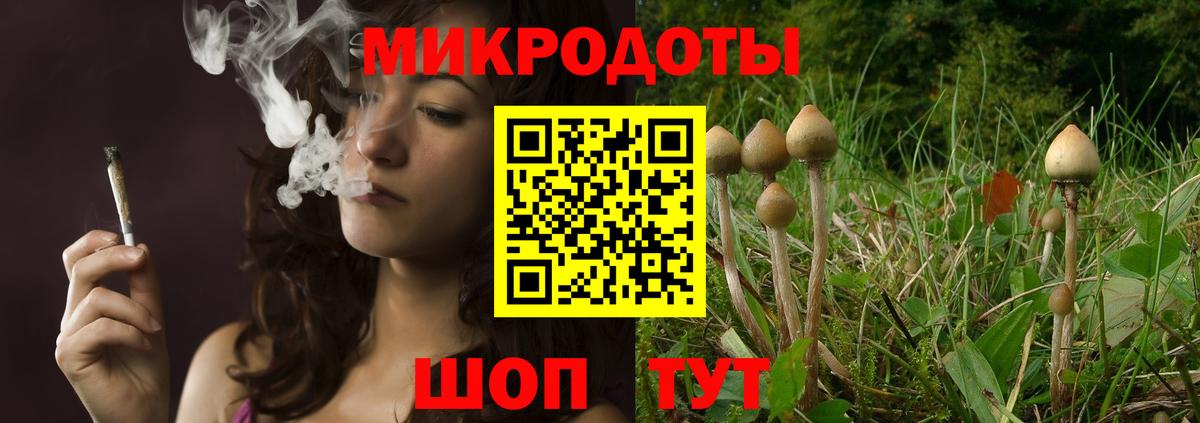 Заводоуковск  Псилоцибиновые грибы Psilocybe  наркота  Вход с VPN  Псилоцибиновые грибы MAGIC MUSHROOMS 